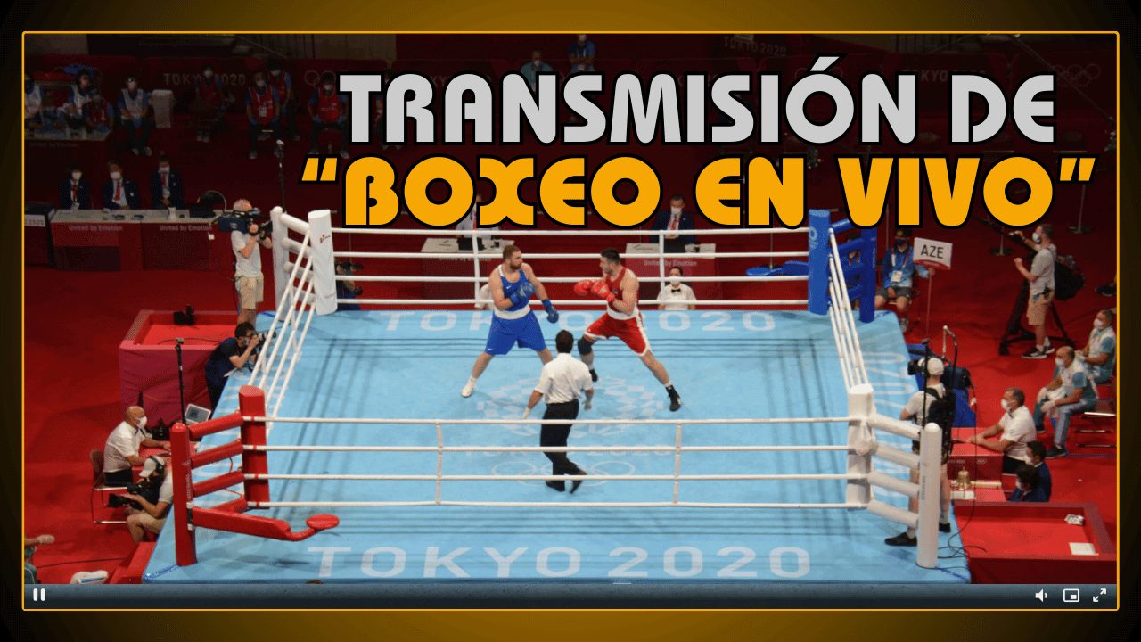 Transmisión de boxeo en vivo